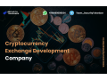 how-do-i-choose-the-best-crypto-exchange-development-company-for-the-development-small-0